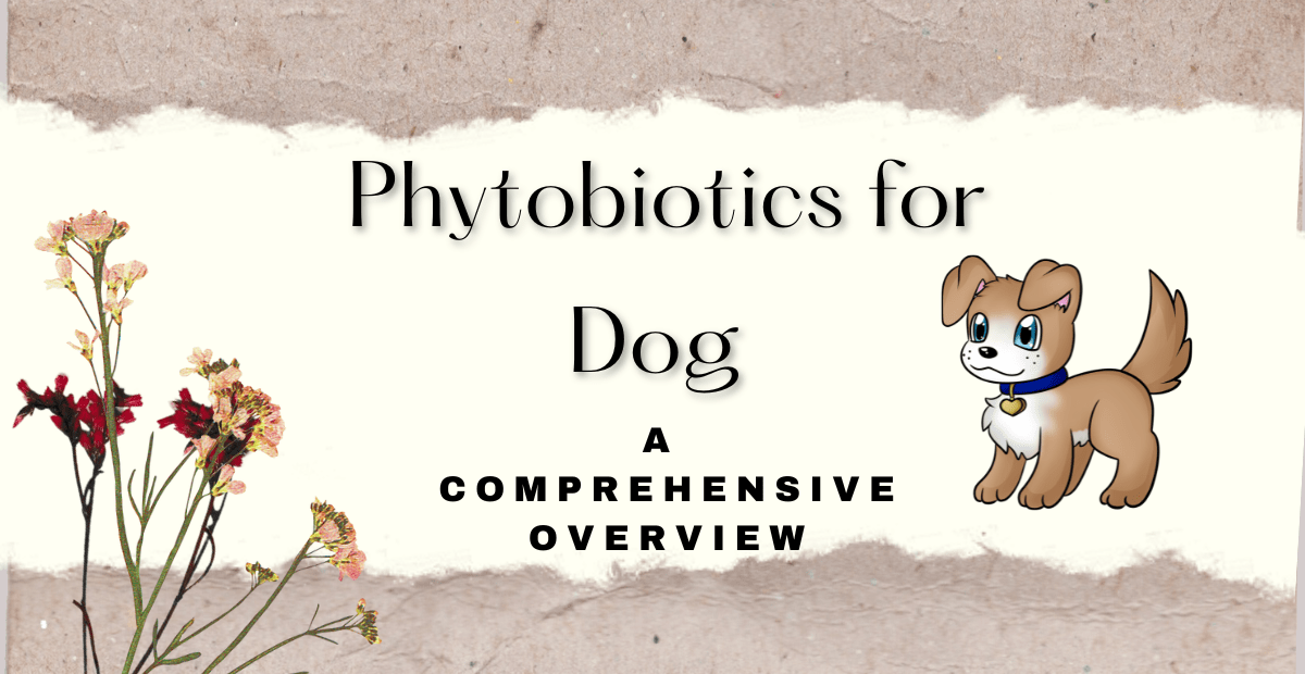 Phytobiotics for dogs