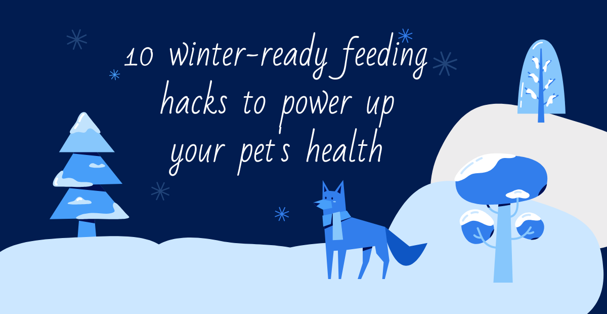 pets health